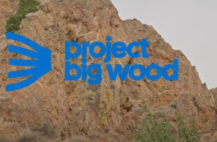 Project Big Wood